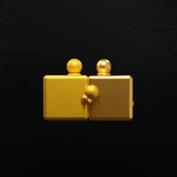 ic_puzzle: 100
